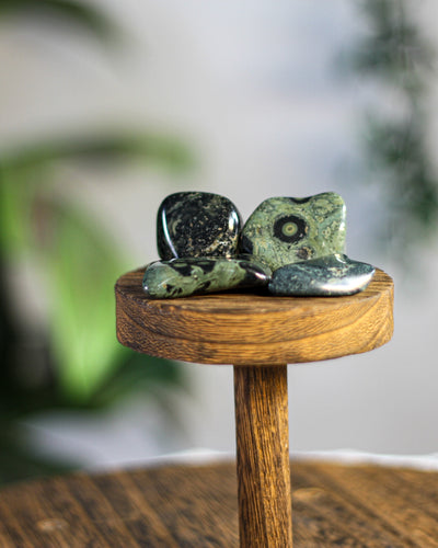 Kambamba (Crocodile) Jasper Tumbled Gemstone