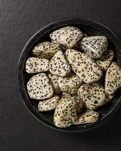 Dalmatian Jasper Tumbled Gemstone