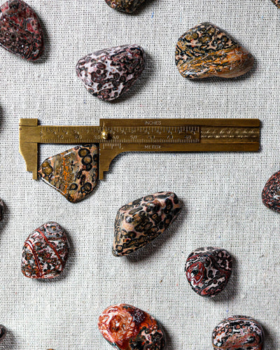 Jasper (Leopard Skin) Tumbled Gemstone