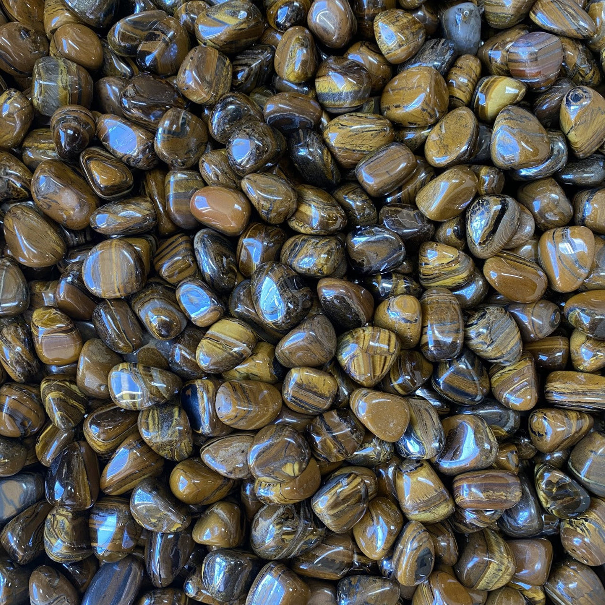 Polished Tiger Iron stone showing layered bands of golden chatoyant tiger's eye, metallic steel-grey hematite, and deep brick-red jasper