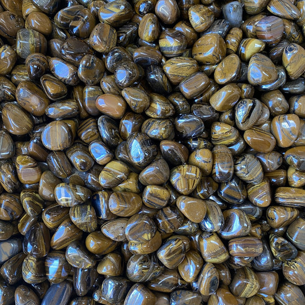 Polished Tiger Iron stone showing layered bands of golden chatoyant tiger's eye, metallic steel-grey hematite, and deep brick-red jasper