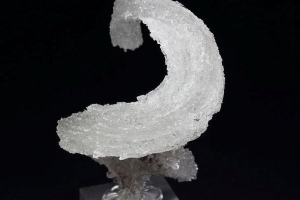 Selenite Sheep Horn from Santa Eulalia – Sage Spirits