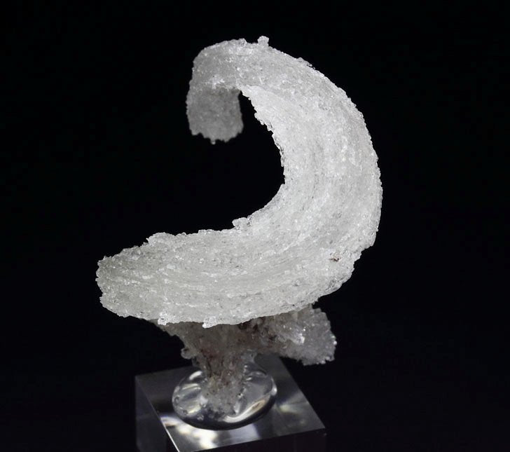 Selenite Sheep Horn from Santa Eulalia