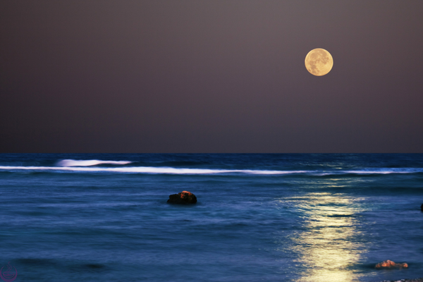 A full moon over the sea at night with its reflection on the water