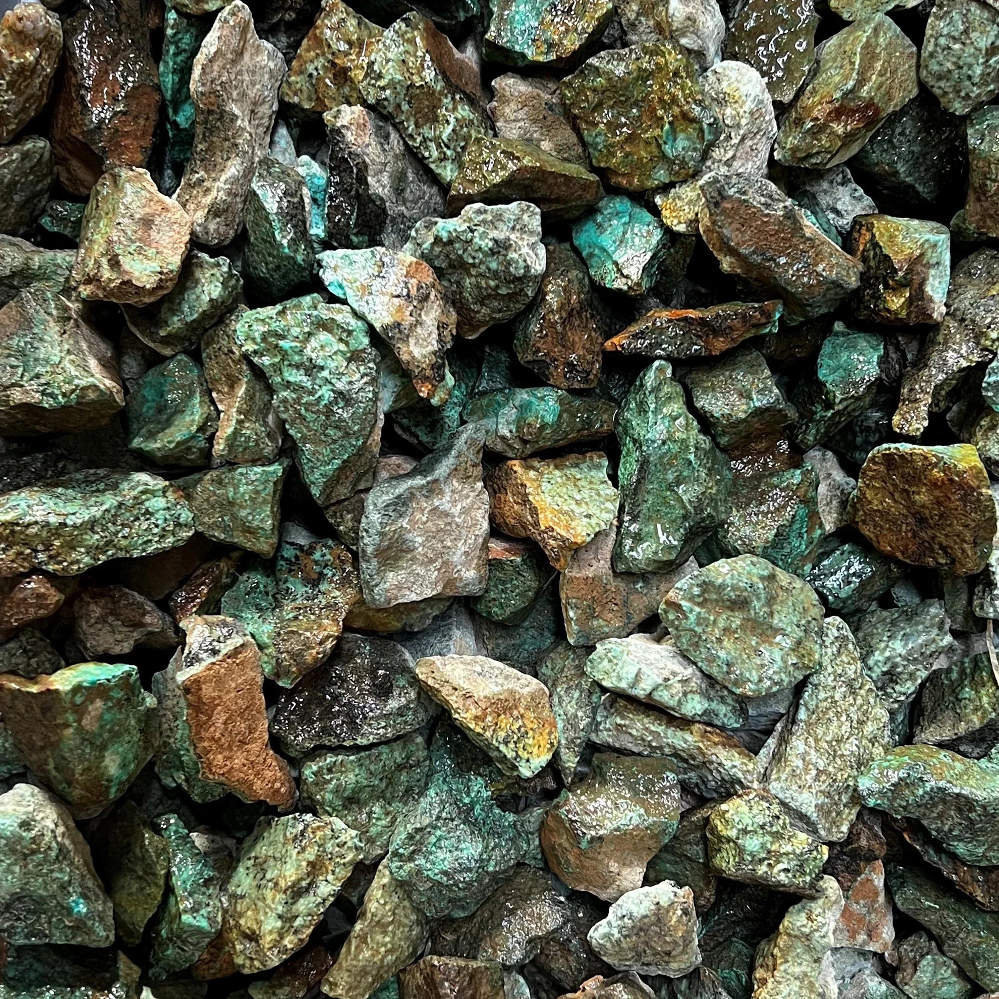 African Turquoise