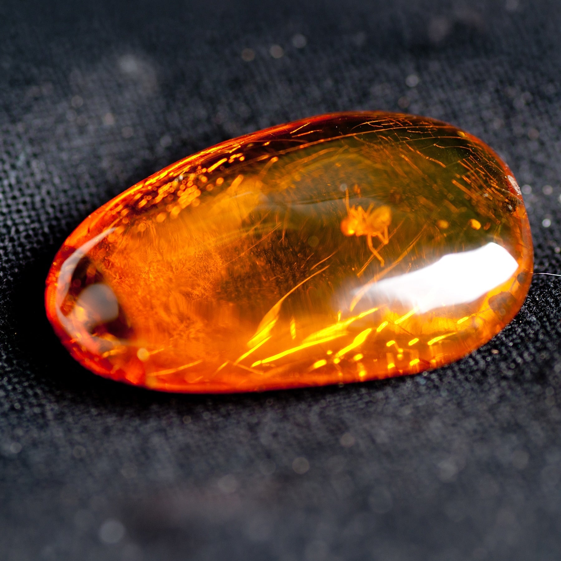 Baltic Amber