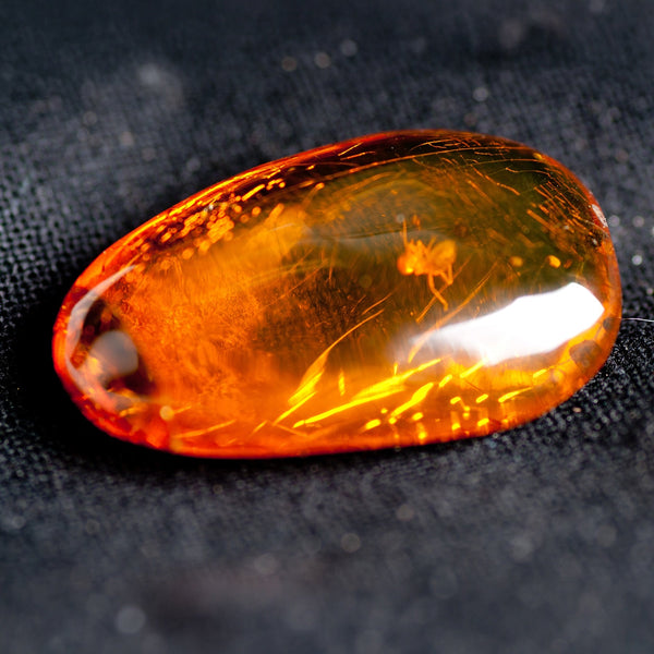 Baltic Amber