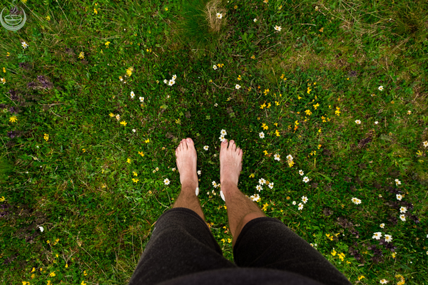 Bare feet standing in grass with wildflowers, seen from above