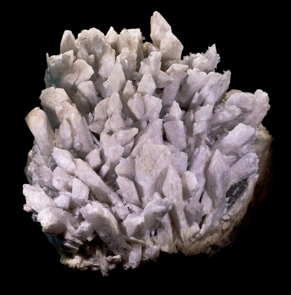 Clear elongated Danburite crystal with glassy luster