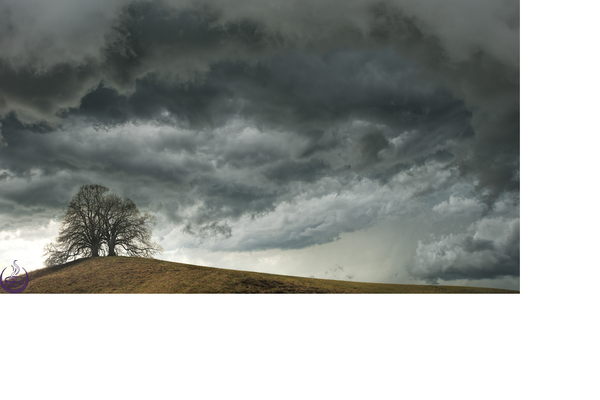 Dark storm clouds gathering over a bare hilltop with two leafless trees