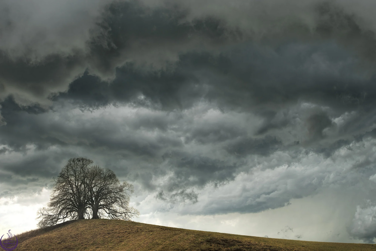 Dark storm clouds gathering over a bare hilltop with two leafless trees