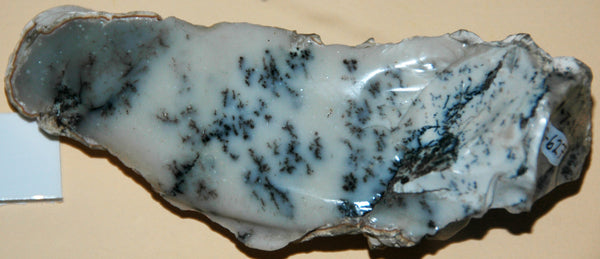 Dendritic Opal with fern-like mineral inclusions branching through pale stone