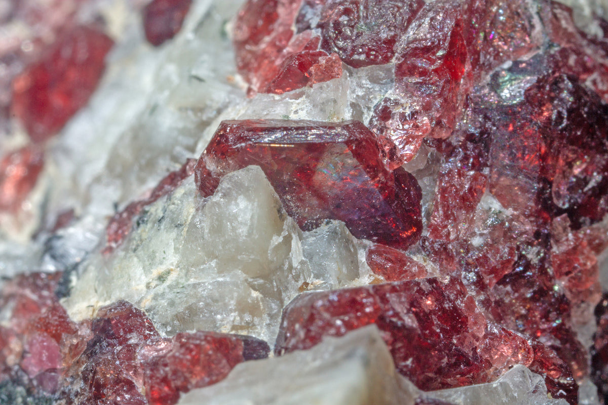 Red Eudialyte crystals embedded in pale albite matrix