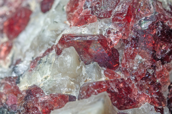 Red Eudialyte crystals embedded in pale albite matrix