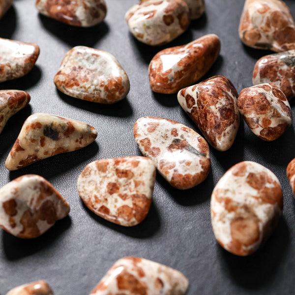 Garnet in Limestone crystal – Sage Spirits crystal guide
