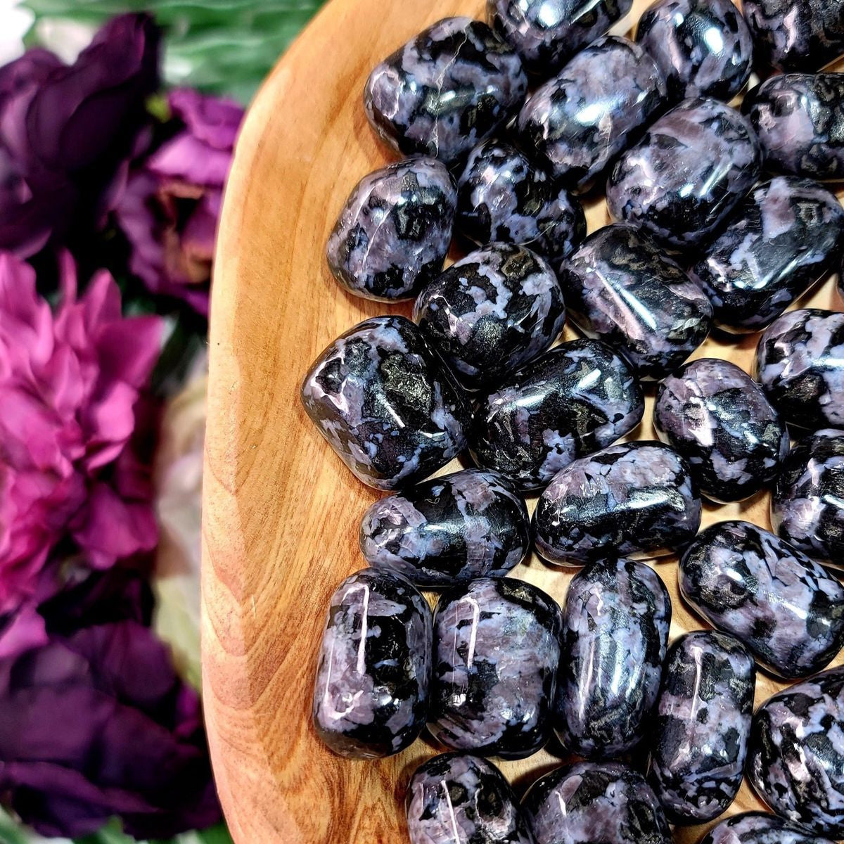 Indigo Gabbro