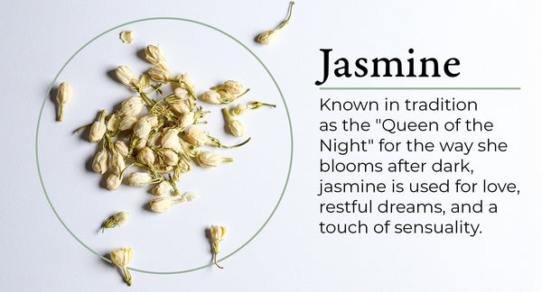 Jasmine Buds – Asia's Apothecary guide, Sage Spirits