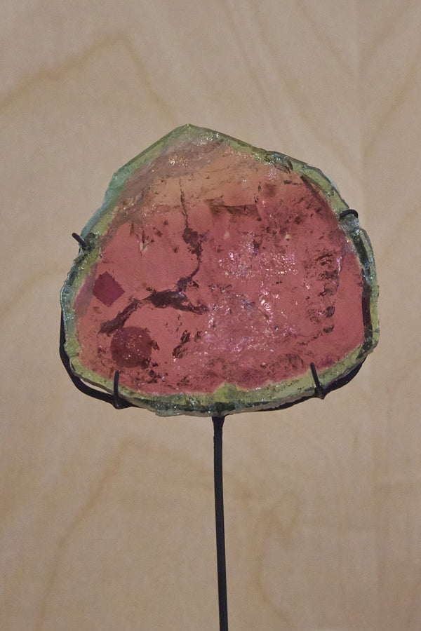 Watermelon Tourmaline slice with pink core and green outer rind