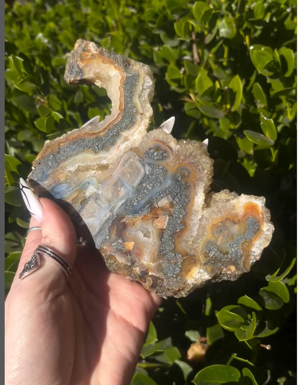 Marcasite Chalcedony