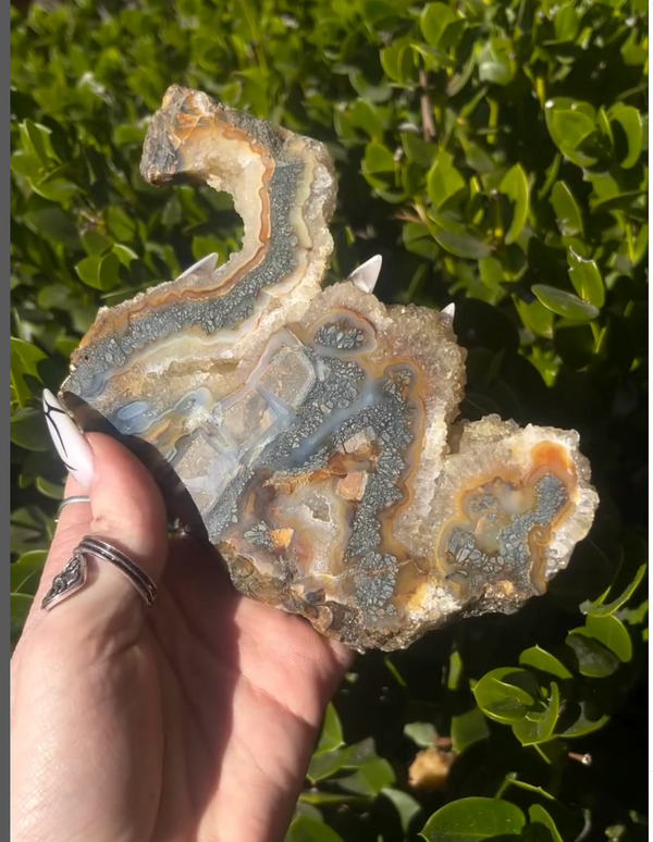 Marcasite Chalcedony