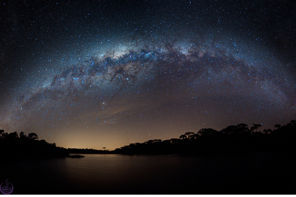 Milky Way arching over a calm lake at night, with tree silhouettes along the shore