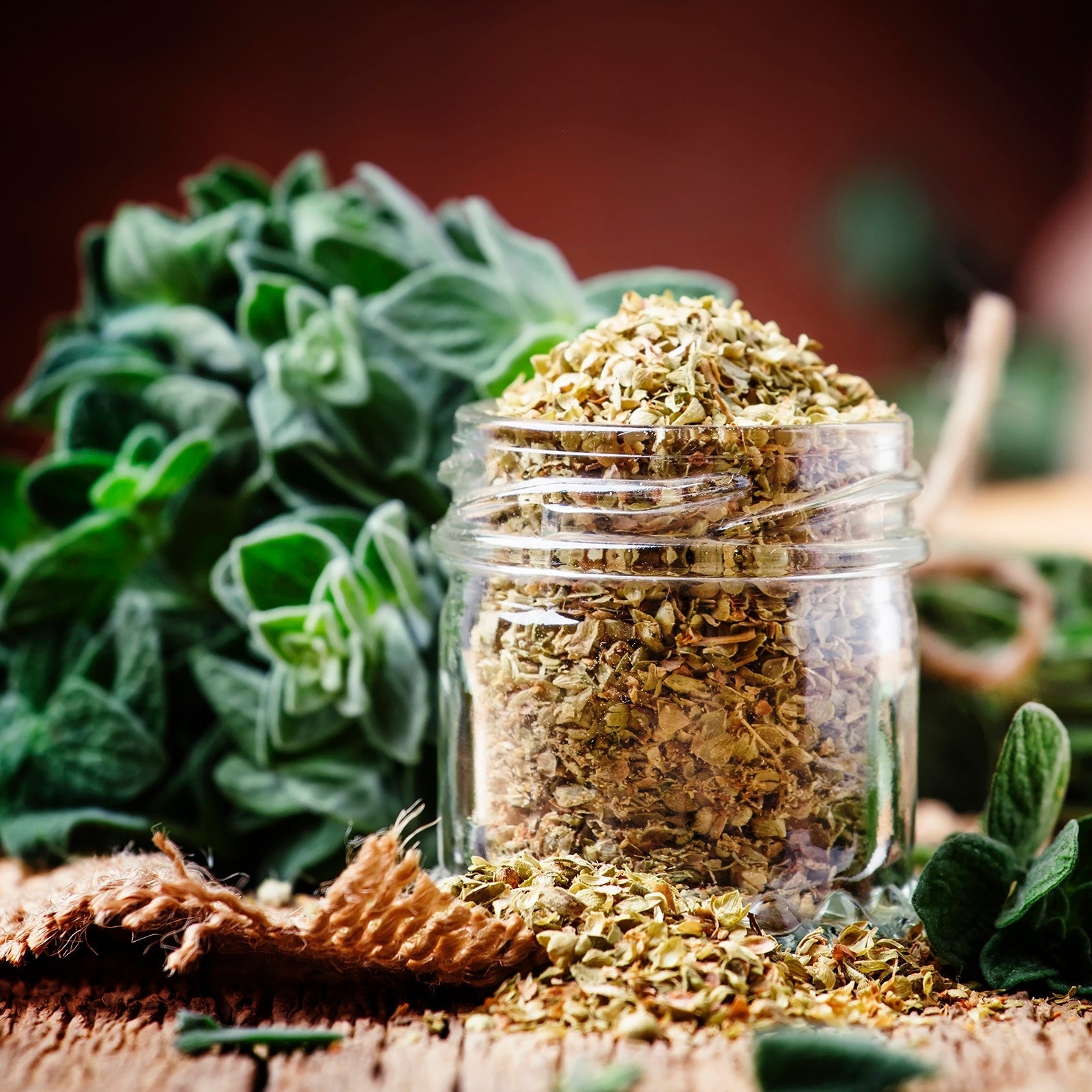 Oregano