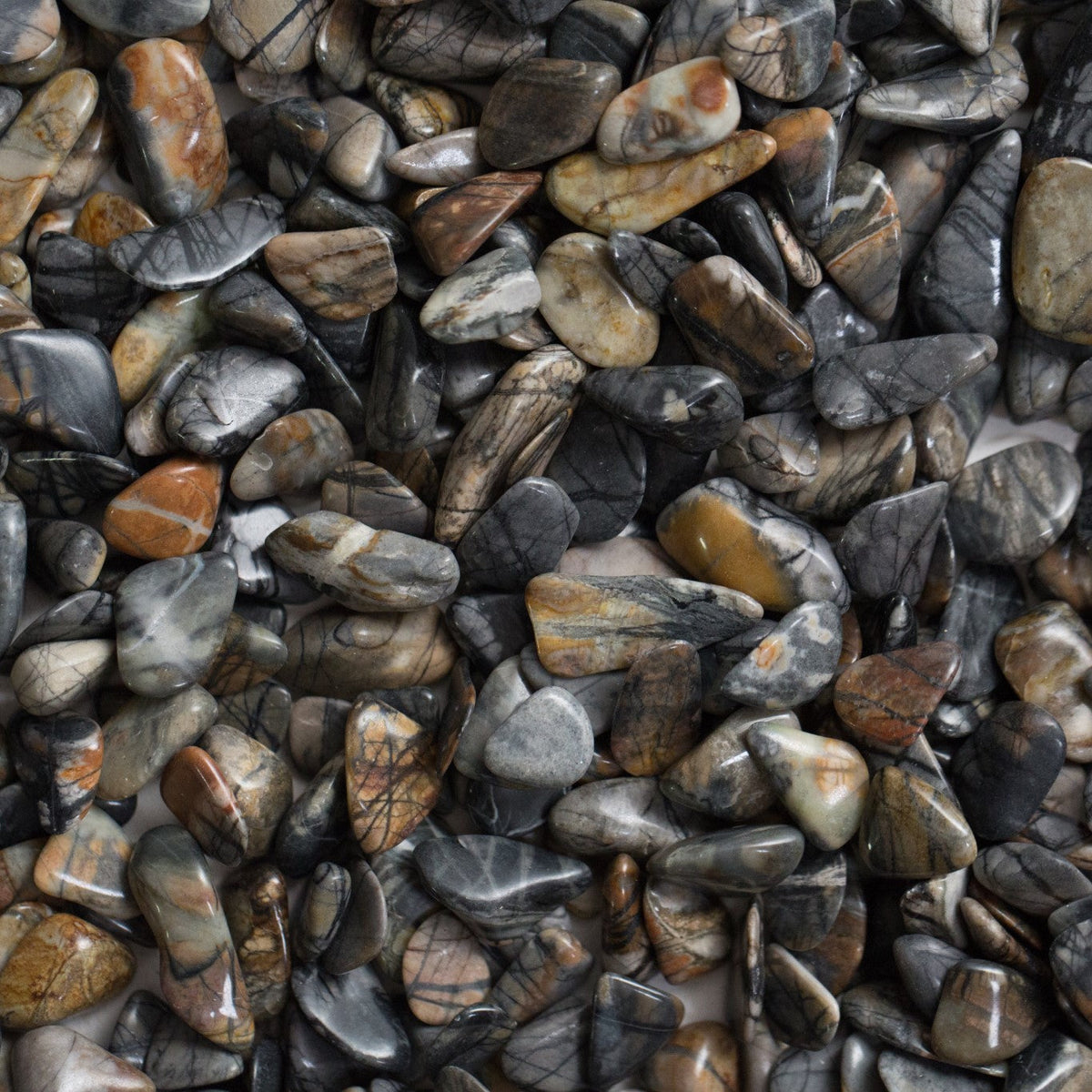 Polished Picasso Stone specimen with bold black and charcoal brushstroke-like patterns branching across a cream and warm gray marble surface