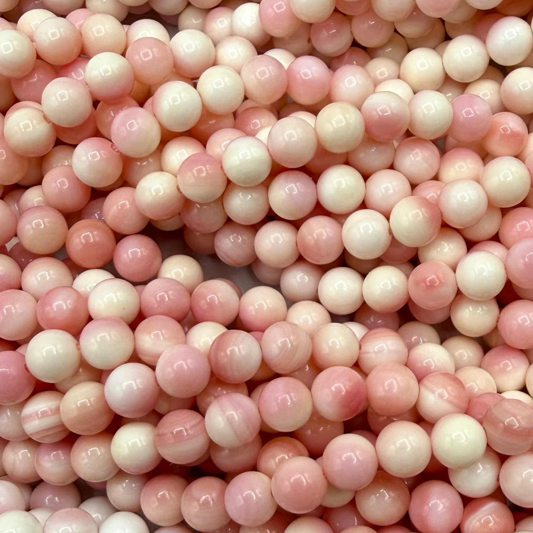 Pink Conch Shell crystal – Sage Spirits crystal guide