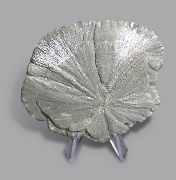 Pyrite Sun (Sparta, Illinois)