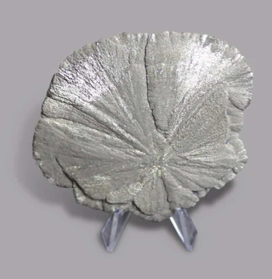 Pyrite Sun (Sparta, Illinois)