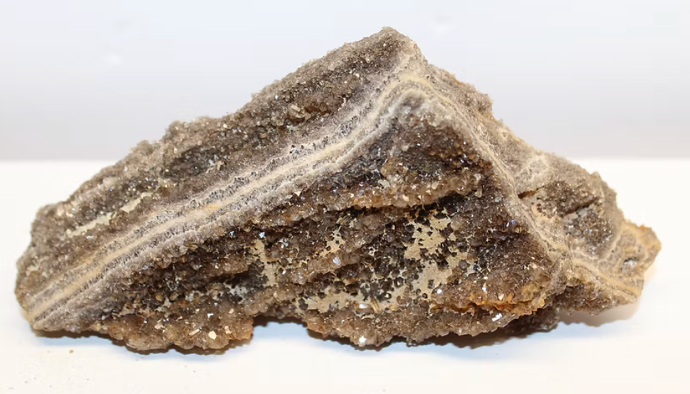Close-up of Brilliant Wood crystal from Alabama showing preserved wood grain and shimmering quartz