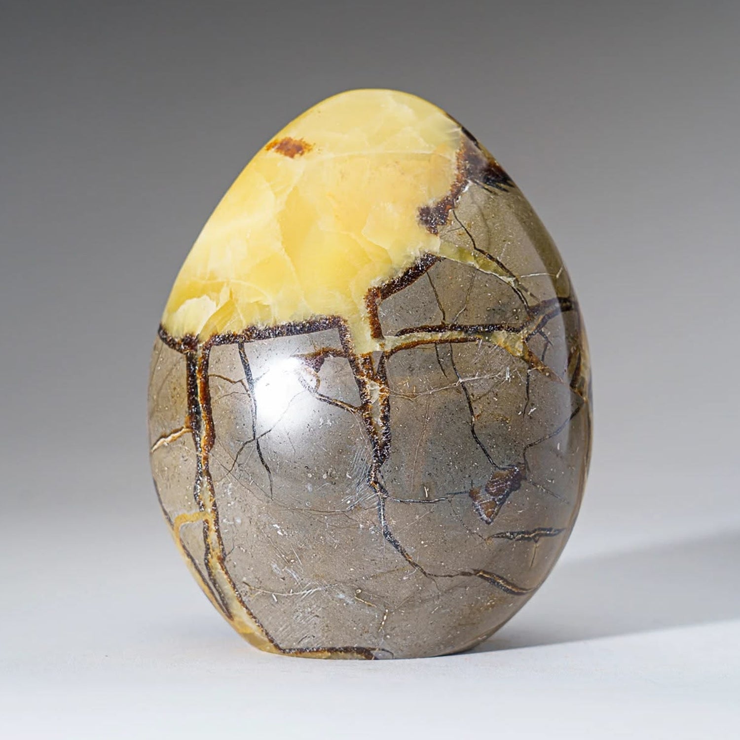 Septarian