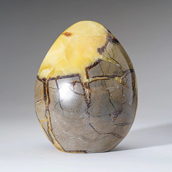 Septarian