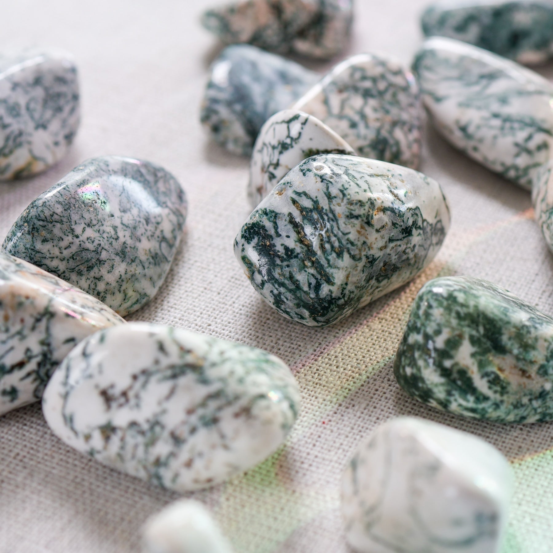 Tree Agate