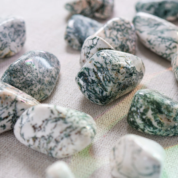 Tree Agate crystal – Sage Spirits crystal guide