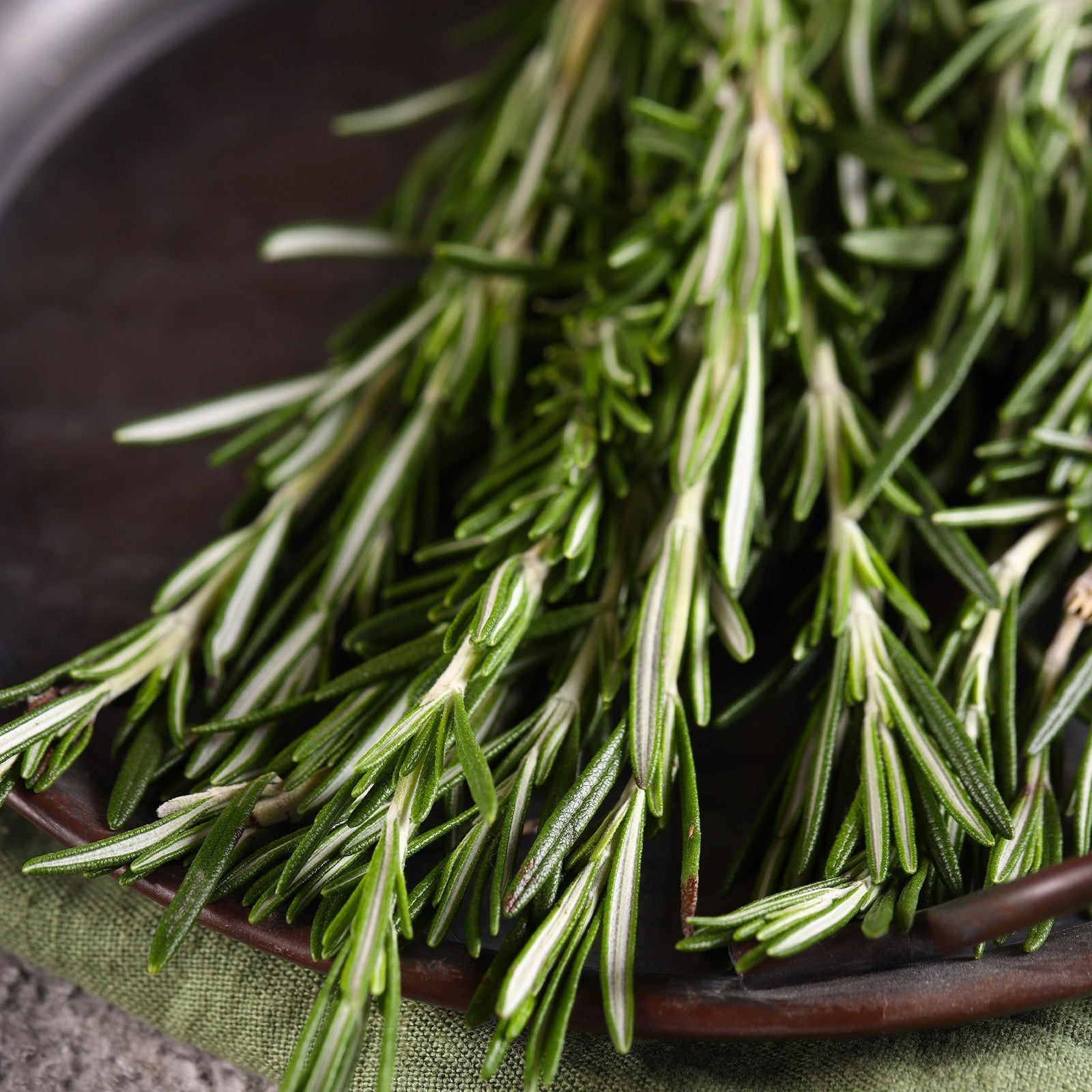 Rosemary