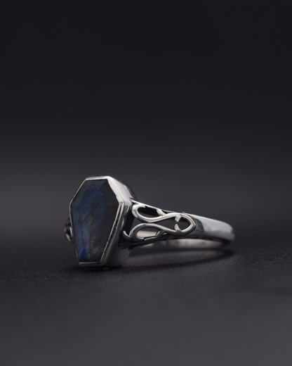 Labradorite Coffin Ring - left view