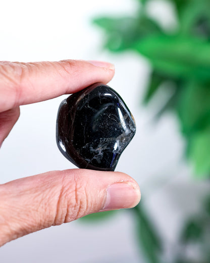 Black Tourmaline Tumbled Gemstone