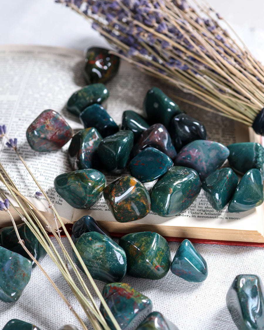 Blood Stone (Heliotrope) Tumbled Gemstone