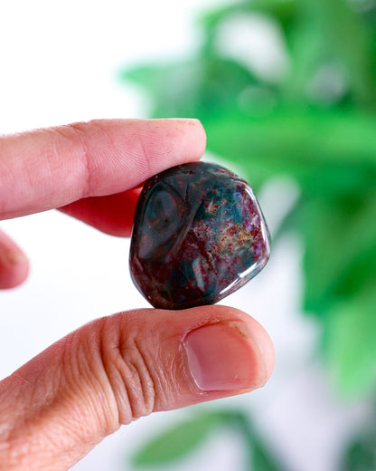 Blood Stone (Heliotrope) Tumbled Gemstone