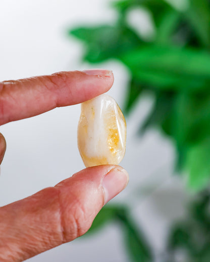 Citrine A Tumbled Gemstone