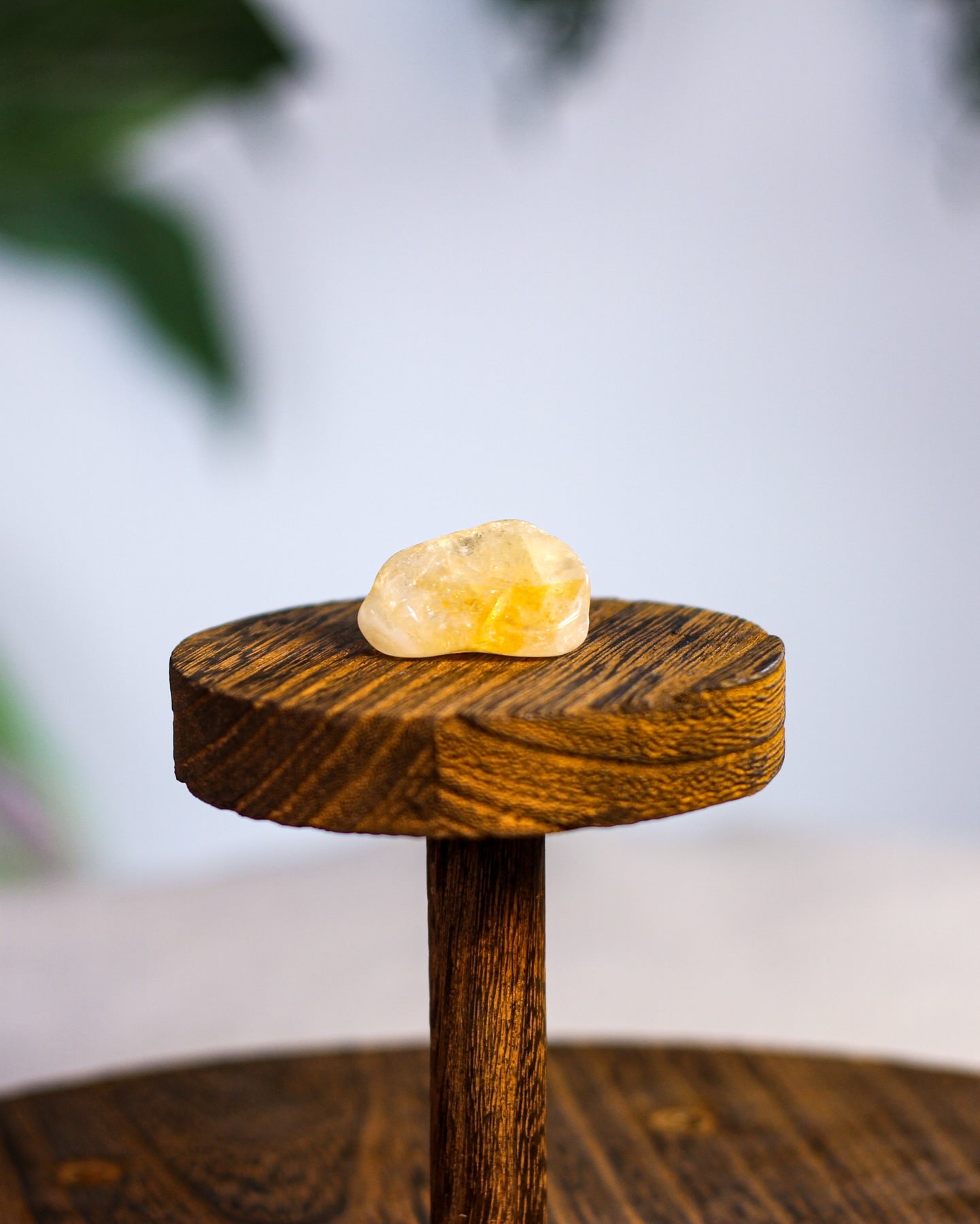 Citrine A Tumbled Gemstone