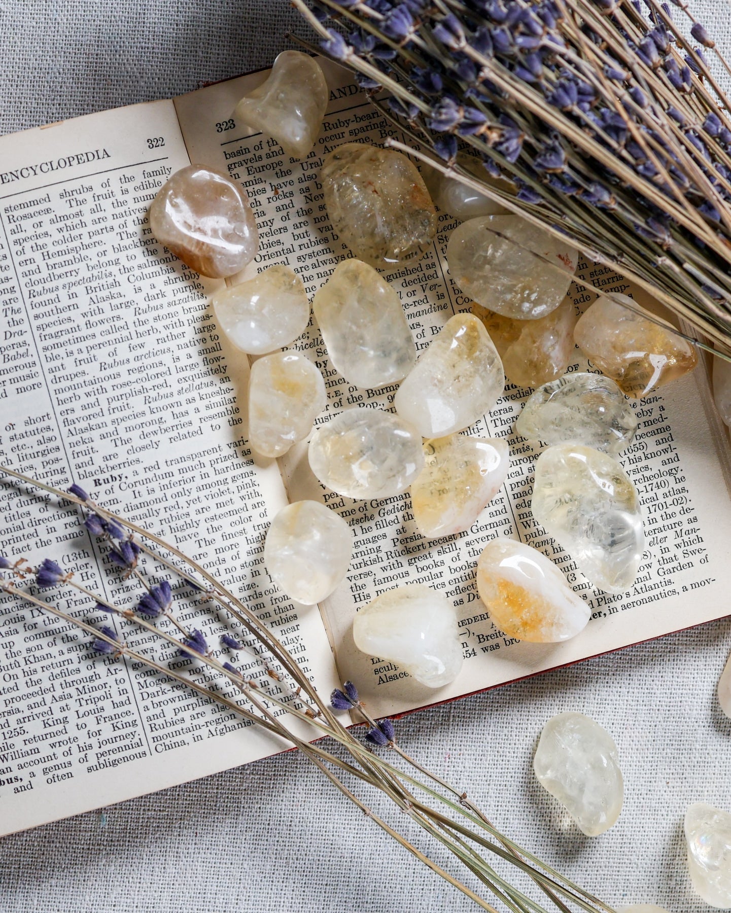 Citrine A Tumbled Gemstone