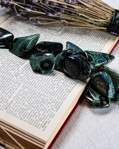Kambamba (Crocodile) Jasper Tumbled Gemstone