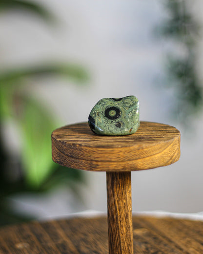 Kambamba (Crocodile) Jasper Tumbled Gemstone