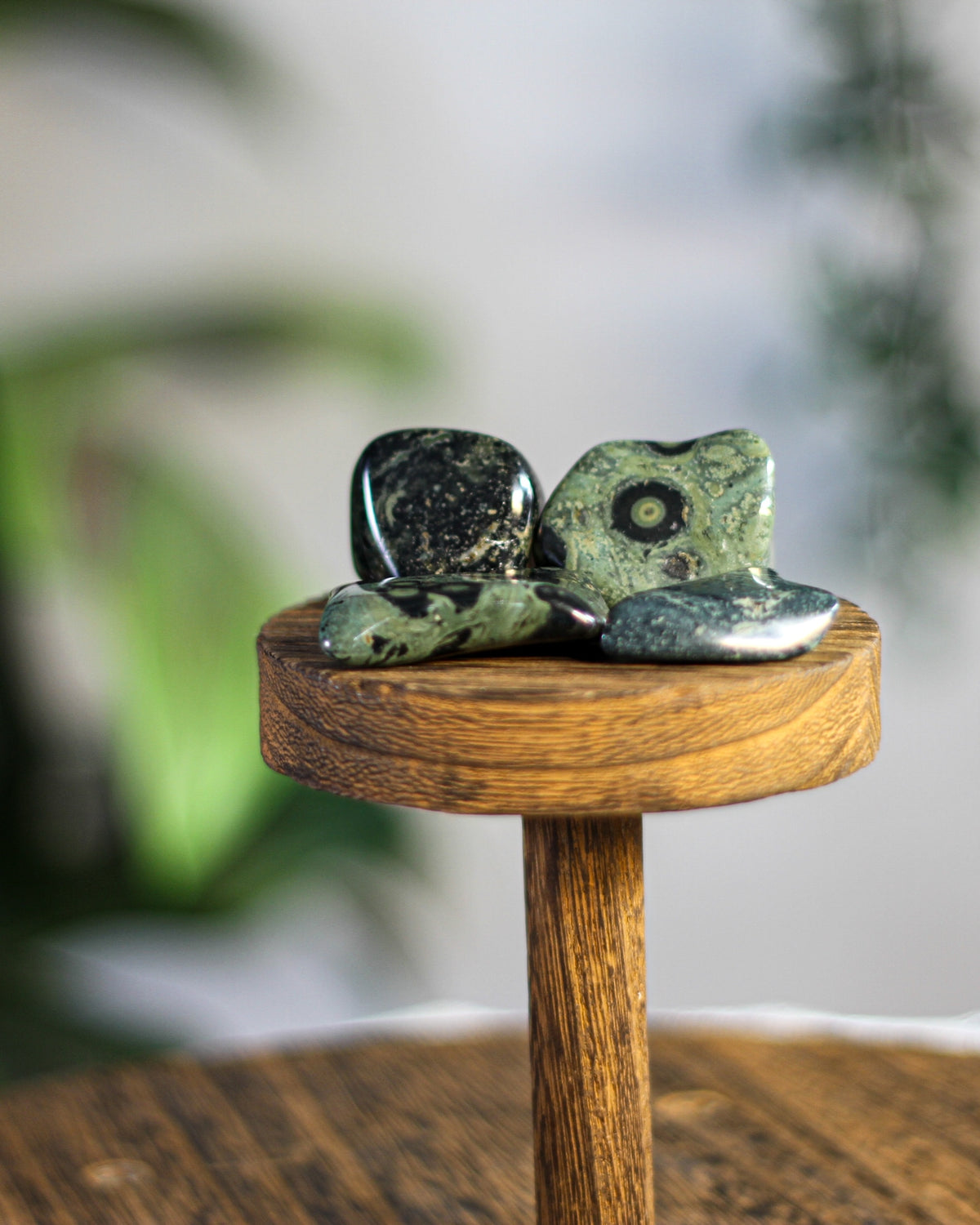 Kambamba (Crocodile) Jasper Tumbled Gemstone