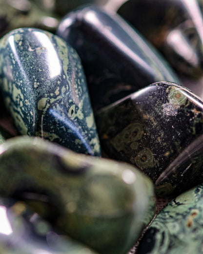Kambamba (Crocodile) Jasper Tumbled Gemstone
