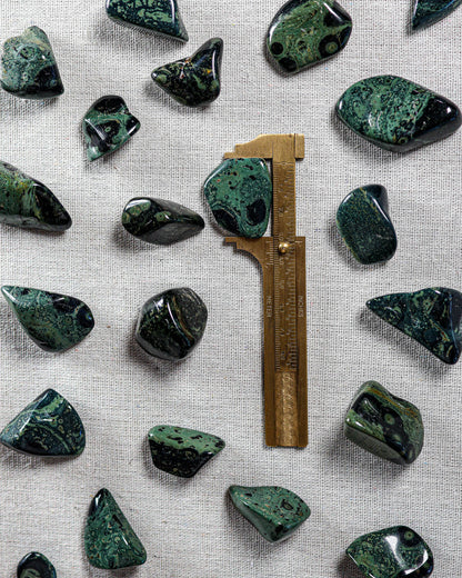 Kambamba (Crocodile) Jasper Tumbled Gemstone