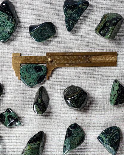 Kambamba (Crocodile) Jasper Tumbled Gemstone