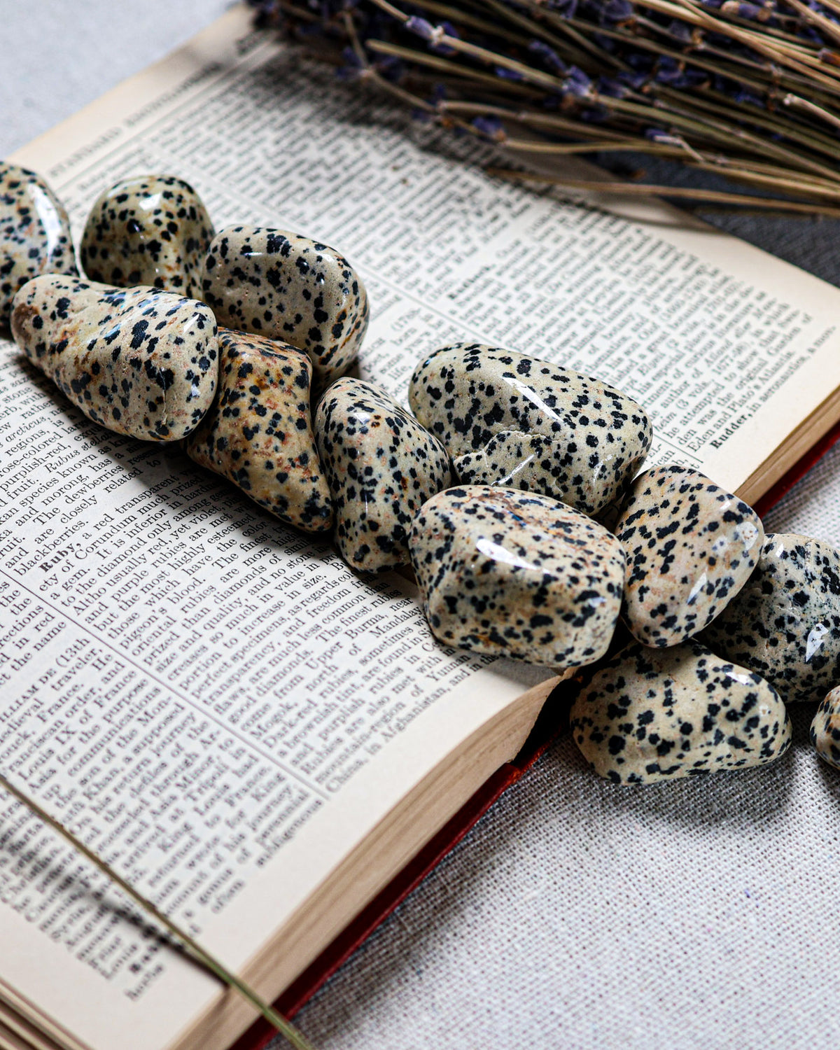 Dalmatian Jasper Tumbled Gemstone